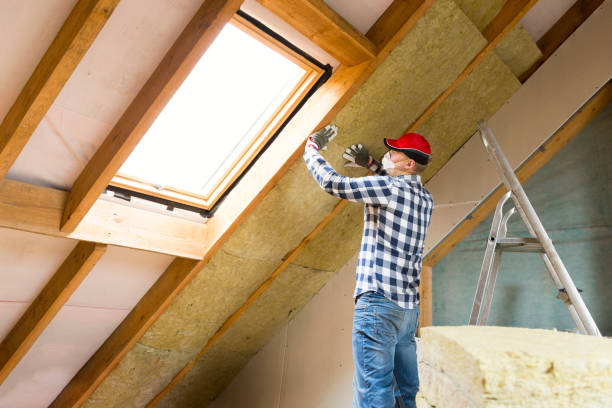 Best Basement Insulation  in Fort Drum, NY